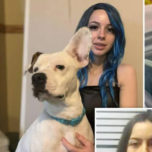 Stream Original Full new Skirby dog video twitter Online Leaks by yagidr yagidr | Listen online