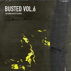 BUSTED VOL.6