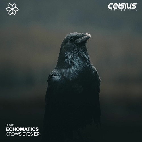 Echomatics - Crows Eyes