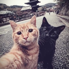 Outta My Head 2.5 - Do Binh