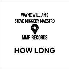 How Long (Wayne & Miggedy's Xxtended Disko Slap) [feat. Steve Miggedy Maestro]