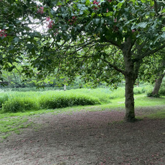 Kill You (Eminem cover) [2012]