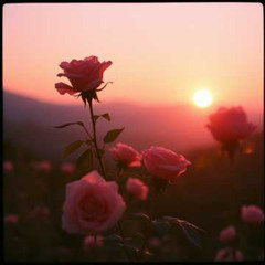 Dj.DamianR - WHAT SHALL I WISH YOU_ (inspired by the poem of Roma Lemańska)