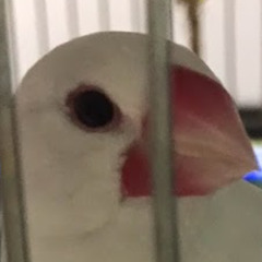 人生コンプレックス