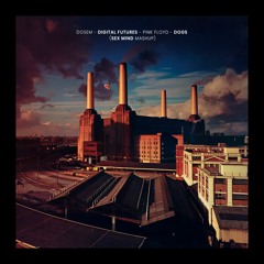 Dosem - Digital Futures - Pink Floyd - Dogs (Sex Mind Mashup)
