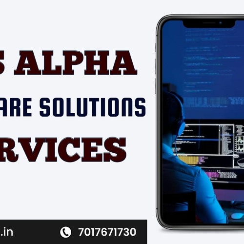 VPS Alpha Software Solutions Services