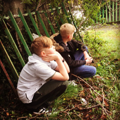 The Phonic - Hopefully