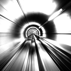 Floral Strutter (Brok3n K3y5 3D1T)