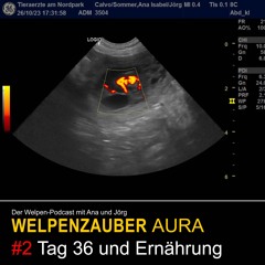 WELPENZAUBER AURA #2 Tag 36 und Ernährung