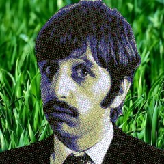 Ringo 030: Experimental Forestry
