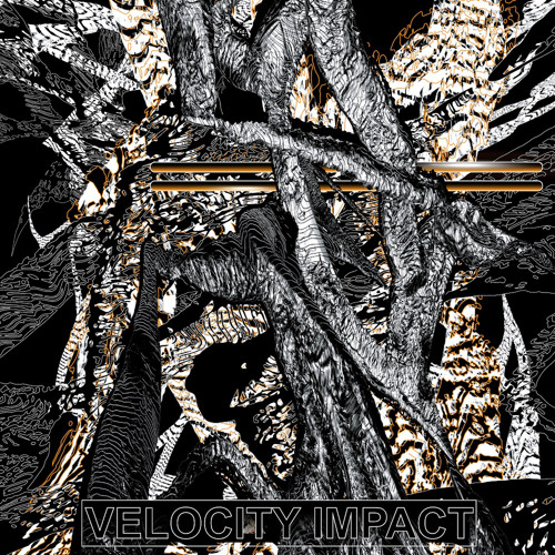 Velocity Impact teaser