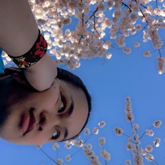 🌴🌊🏖️🌞🎶