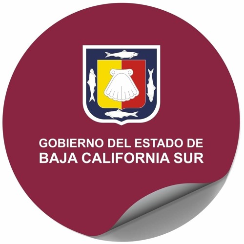 Stream Entrevista ING Jose Alfredo Bermudez Beltran by SEPADA BCS Listen online for free on