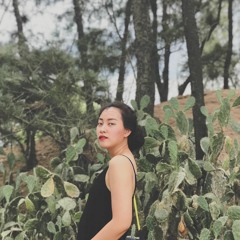 Người hãy quên em đi (Khắc Hưng) - Mèo cover