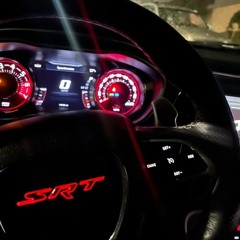 dumb bictch rio flip