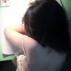 ĐỂ EM LƯƠNG THIỆN TP x DT 2024