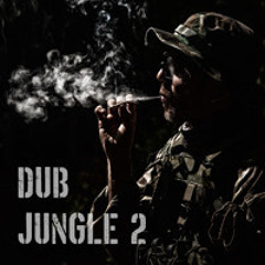 Dub jungle dnb mix (420 2025) vol. 2