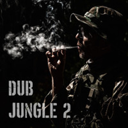 Dub jungle dnb mix (420 2025) vol. 2