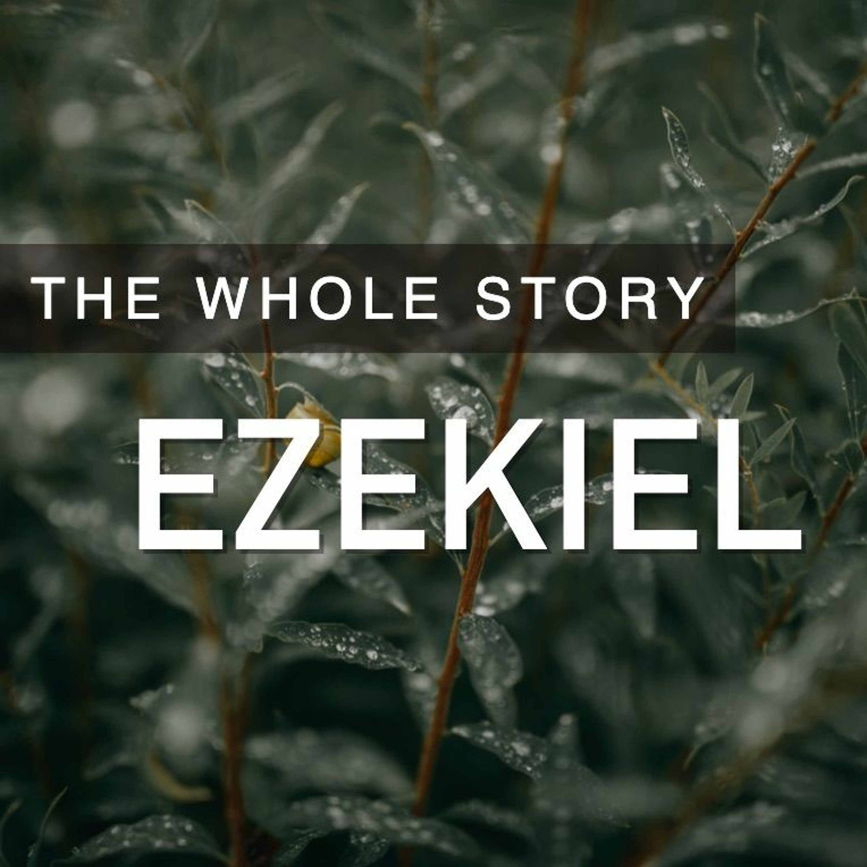 EZEKIEL: A Shepherd's Heart - Pastor Tim Knowles (1.17.2021) episode artwork