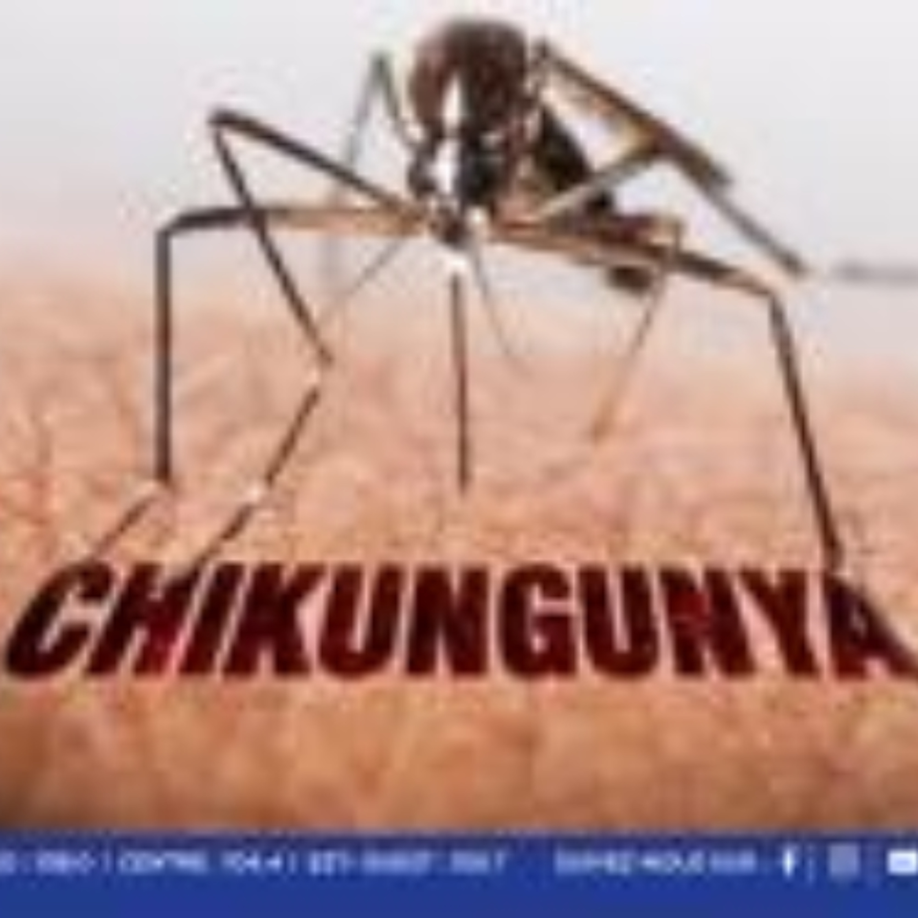 Lutte contre le chikungunya : les autorités durcissent le ton face à la prolifération des moustiques