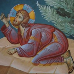 An Acceptable Fast - Fr Emmanuel Iskander