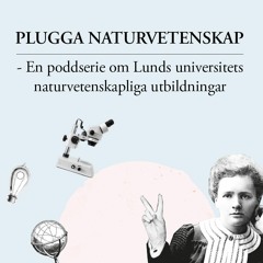 Plugga Naturvetenskap - Matematik