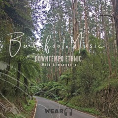 Forest  Immersion  / wild Atmosphere/ vocal +Didgeridoo // music 432hz //