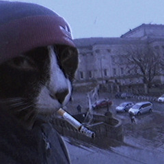 37deadkubinn-kapradi­ freestyle(slowed)