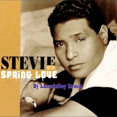 Stevie B - Spring Love (Dj LazzzieBoy Remix)