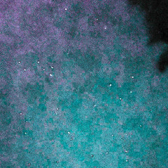 I jumped the fence to get there