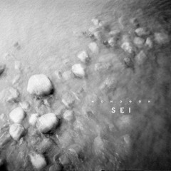 Sei