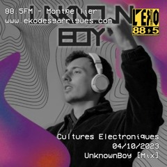 Cultures Electroniques: UnknownBoy [04/10/2023]