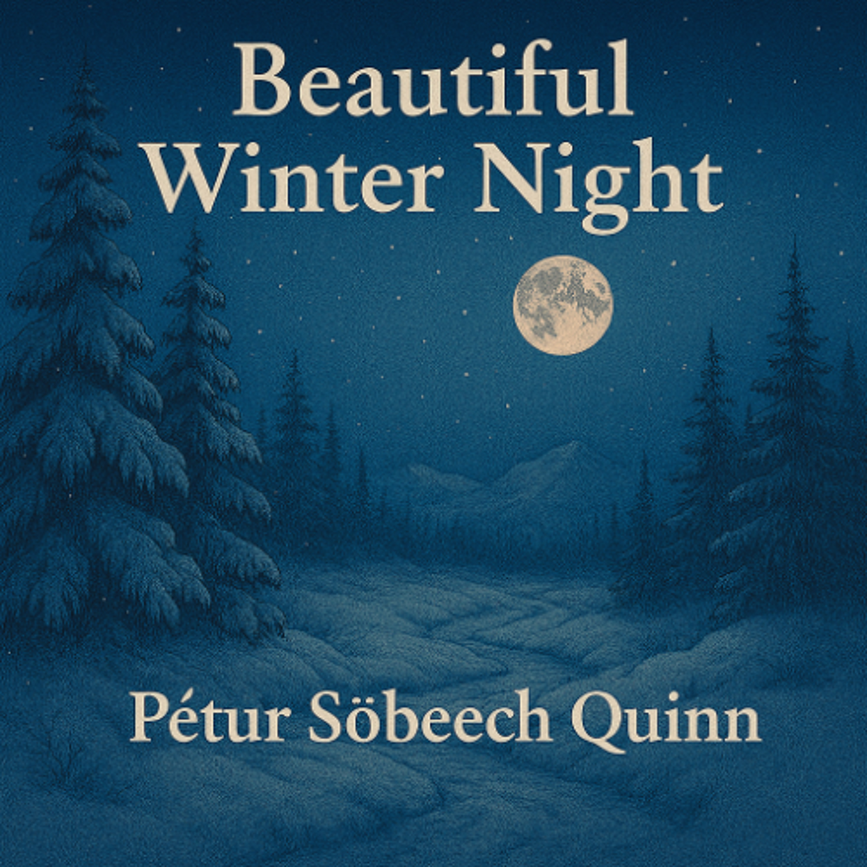 Beautiful Winter Night