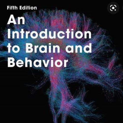 DED4MP&dj Partycrasher - The Introduction  {free download)