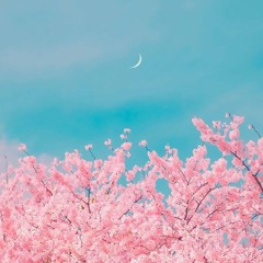 Why She Doesn't Like Me -H3NT41