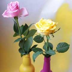 High Stockholm Night 0.2