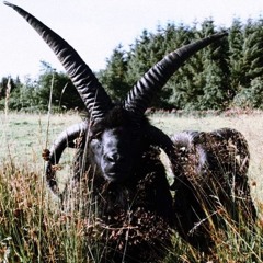 Why These Fuck Niggas Trippin