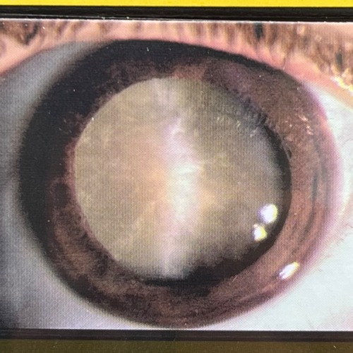 virtualdemonlaxative 'live in aarhus' ⓜⓘⓧ ⓪④⓪