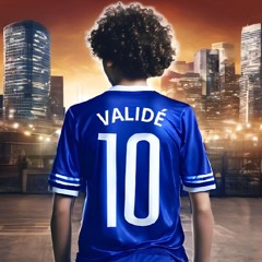 VLS - Validé