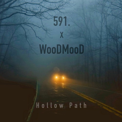 591. x WooDMooD - Gazing Into The Void