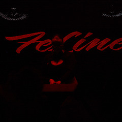 FeLine Live @ 1015 Folsom | OSL Afters, Notion Opener | 8.8.25