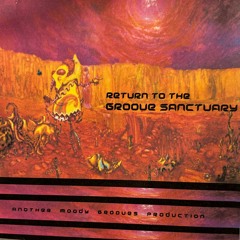 RETURN TO THE GROOVE SANCTUARY (2007)