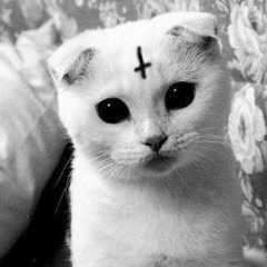 Yeat - Take Back [Official Audio] (Prod. Sapjer)