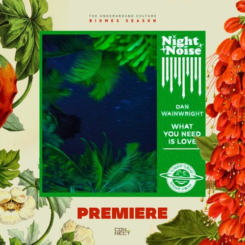 PREMIERE: Dan Wainwright - What You Need Is Love [Night Noise Music]