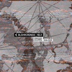 Premiere: Skaliger — Echoes Of Freedom [BLSHRCRDNGS013]