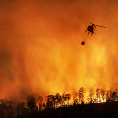 A R S O N I S T (Firebound)