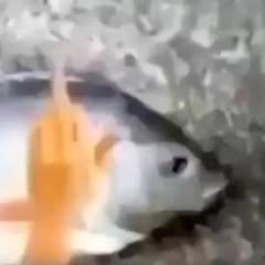 binej yeah chase theme