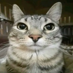 Gydra - Trojan X Qo & Trilo - Push It To The Limit (Mashup by YAK0B)