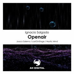 Ignacio Salgado - Openair (Original Mix)