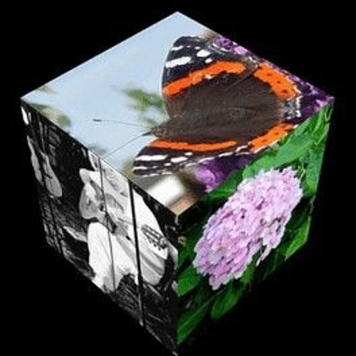 Sonification
